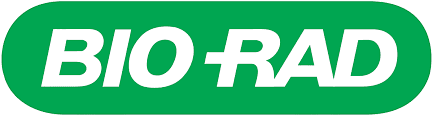 Partner 6